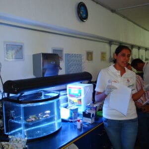 Enseñanza ambiental