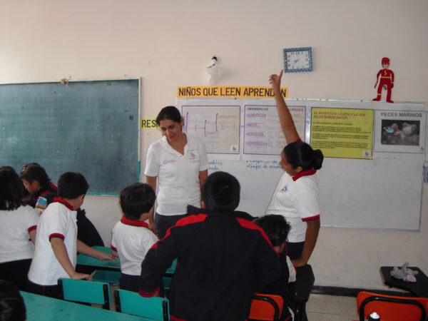Curso-Taller de educación ambiental - Imagen 2