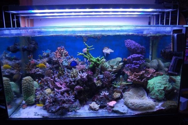 La Importancia de la Calidad del Agua en Veracruz - Imagen 2